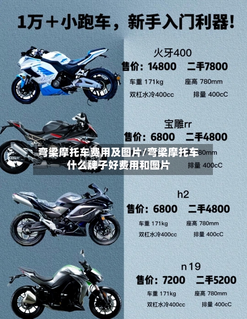 弯梁摩托车费用及图片/弯梁摩托车什么牌子好费用和图片