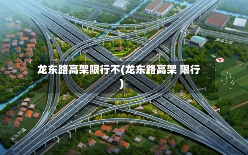 龙东路高架限行不(龙东路高架 限行)