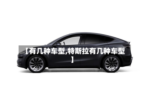 【有几种车型,特斯拉有几种车型】-第3张图片