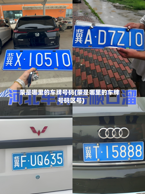 蒙是哪里的车牌号码(蒙是哪里的车牌号码区号)