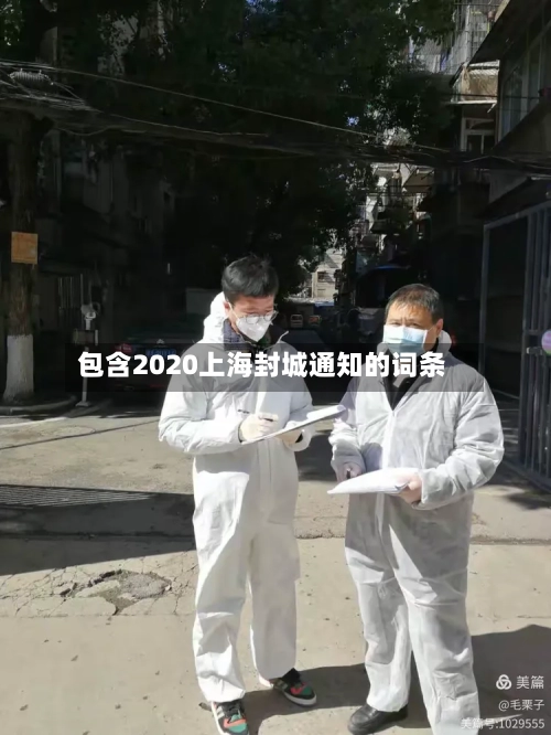 包含2020上海封城通知的词条